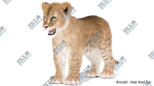 images/goods_img/20210312/Baby Lion Furry 3D/4.jpg